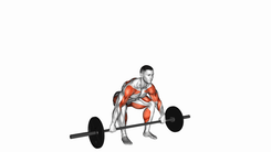 Snatch High Pull